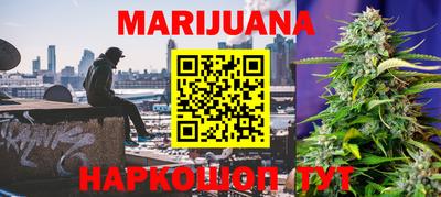 PSILOCYBIN Краснодар