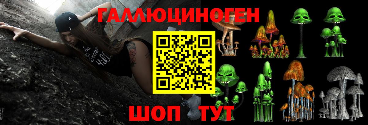 Псилоцибиновые грибы ЛСД Камышлов