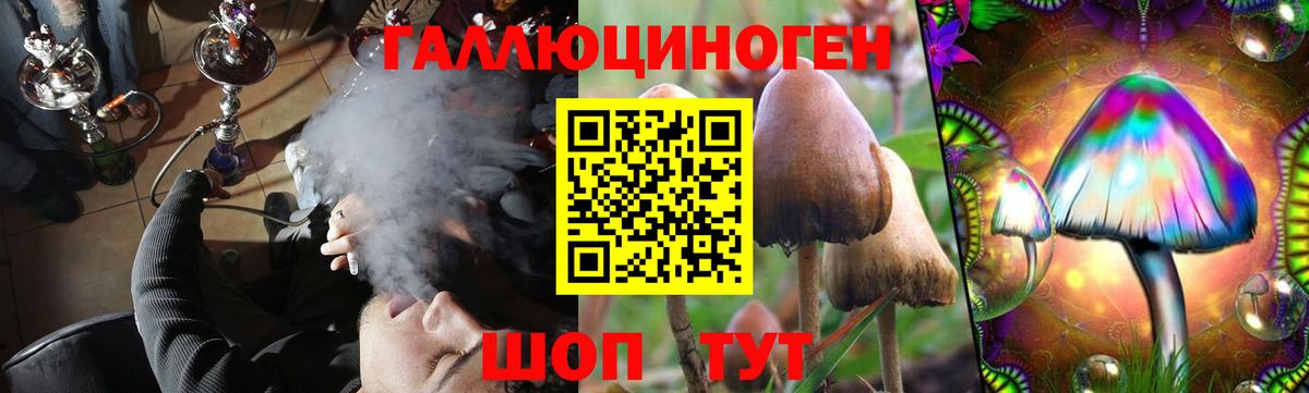 Камышлов  Псилоцибиновые грибы Psilocybe  где найти   Вход с VPN 