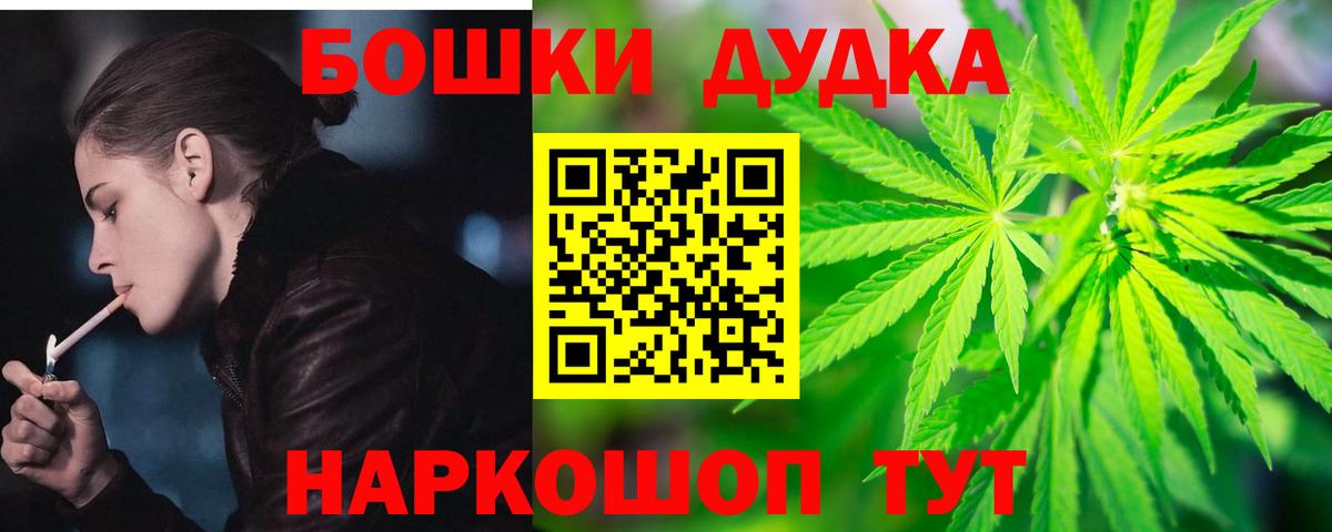 Каннабис планчик Камышлов