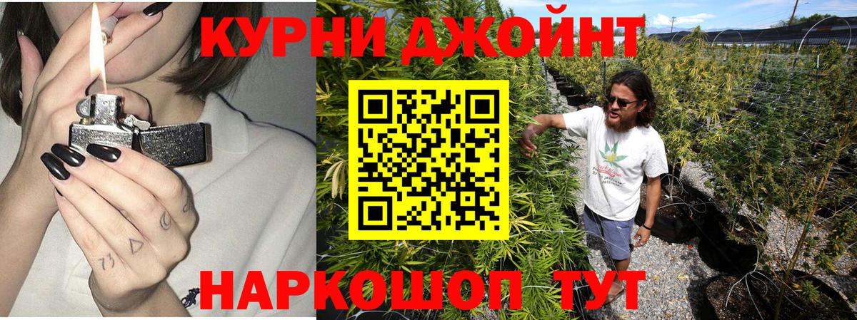 Каннабис AK-47  Шишки марихуана ГИДРОПОН  Камышлов  Вход с VPN 